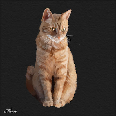 digital art ginger-cat sketch