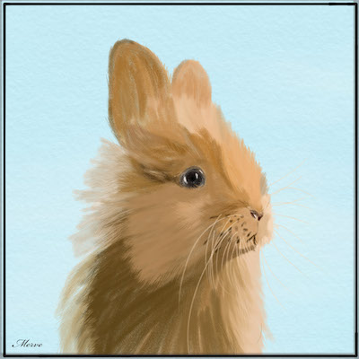 digital art yellow bunny sketch
