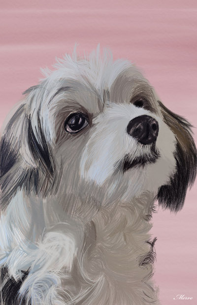digital art dog portrait sketch